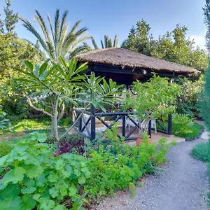 https://villa-mimosa-arafo.in-canary-islands.com